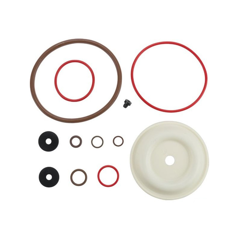 Kit joints Viton pulvérisateur Solo