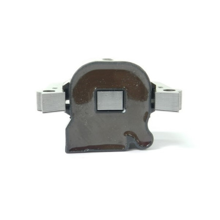 Bobine allumage débroussailleuse Echo