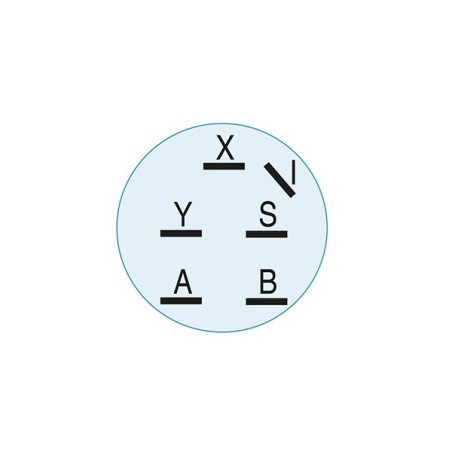 Contacter a clé autoportée Toro