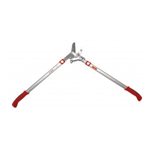 Élagueur à coupe enclume Powercut Outils Wolf OR800V