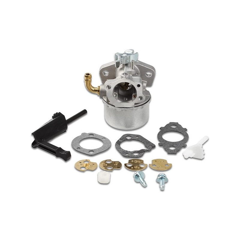 Carburateur moteur Briggs & Stratton