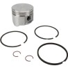 PISTON STD   '    EX391285 499284 394661 modal atc