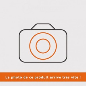 PIGNON 15 DTS P406  Pubert 0002011110