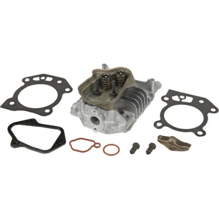 Culasse moteur tondeuse Briggs et Stratton - 84006584