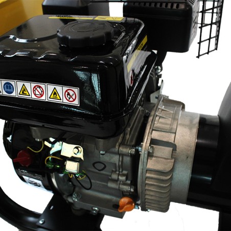 Groupe électrogène France Power FP3000LC AVR