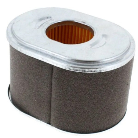 Filtre à air moteur Loncin