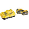 Pack 2 batteries Dewalt XR Flexvolt 9Ah et un chargeur XR modal atc