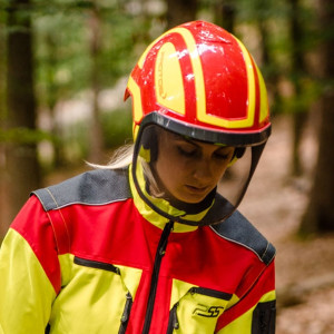 Casque Forestier Protos Integral Forest - Couleur Jaune/gris, Visière F39, Protection Tête Et Visage, Fabriqué En Allemagne