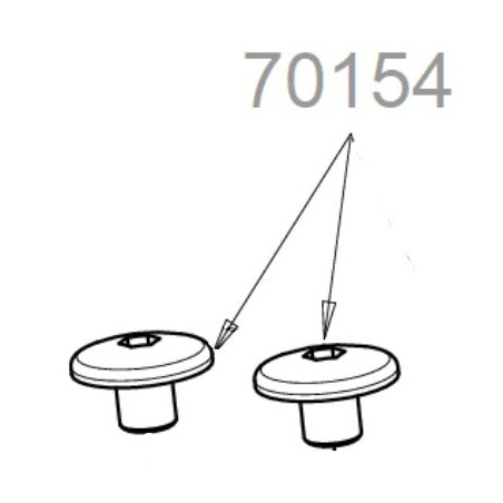 Vis de fixation pour élagueur OR800V OutilsWolf (lot de 2)