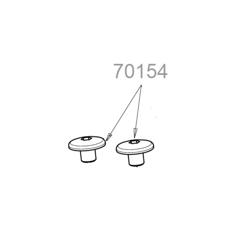 Vis de fixation pour élagueur OR800V OutilsWolf (lot de 2)