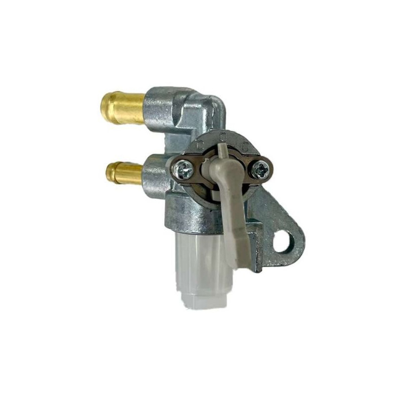 Gicleur moteur Briggs et Stratton | Générique : 596523