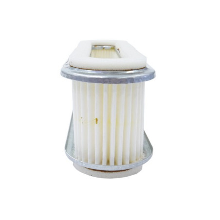 Filtre à air moteur Kawasaki FB460V