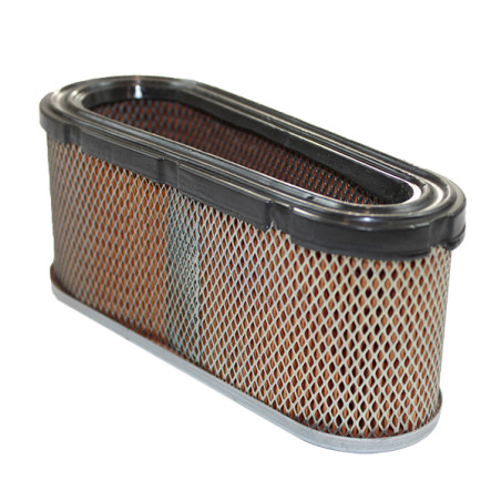 Filtre à air moteur autoportée Briggs et Stratton