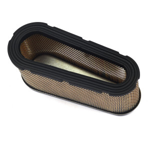 Filtre à air moteur autoportée Briggs et Stratton