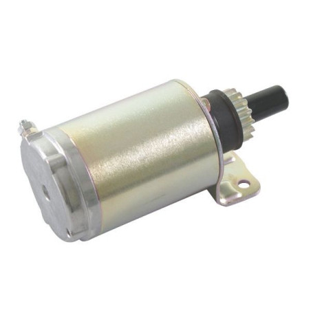 Démarreur Briggs et Stratton