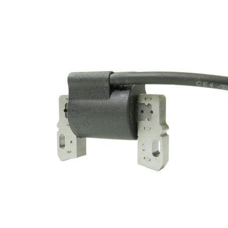 Bobine D'allumage Pour Tondeuse à Gazon - Compatible 595304, 592841, 799650 - Moteurs 21A807, 21A877, Etc.