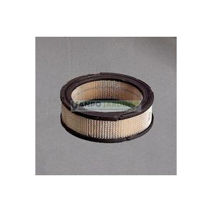 Filtre à air moteur Briggs et Stratton