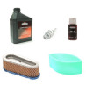 Kit entretien moteur Briggs Stratton - 992207 modal atc