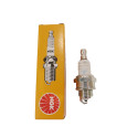 Bougie NGK BPMR6A équivalent Champion: CJ8Y