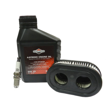 Kit entretien moteur Briggs et Stratton Serie 550, 575