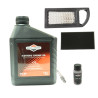 Kit entretien moteur Briggs Stratton modal atc
