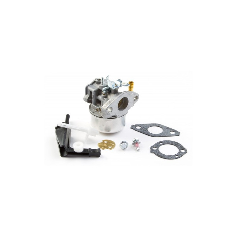 Carburateur moteur Briggs et Stratton