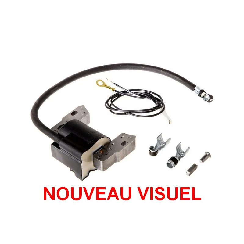 Bobine allumage Briggs et Stratton