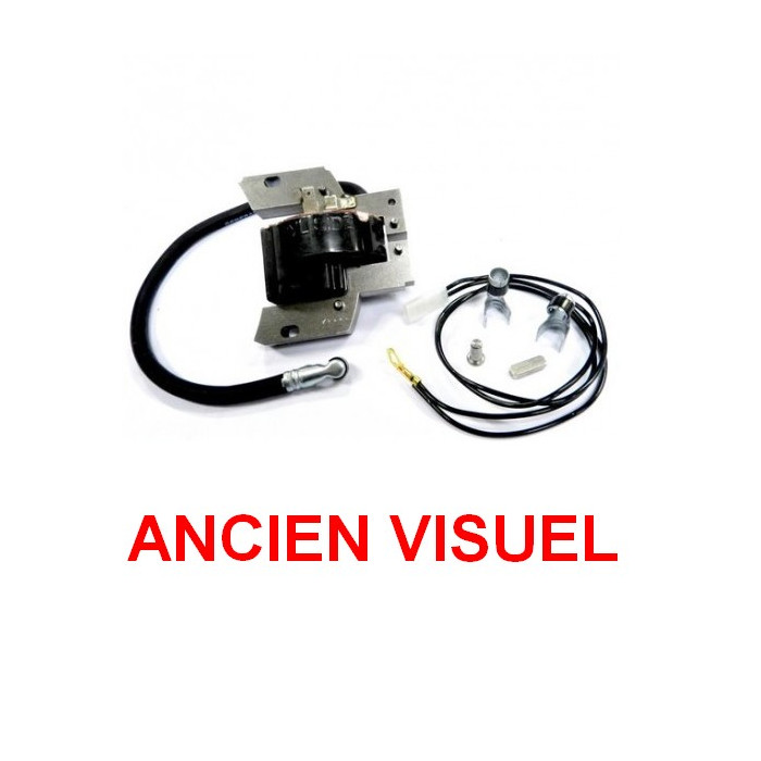 Bobine D'Allumage Pour Briggs & Stratton 691060 592846 799651 - Tôle Acier Silicium, Cuivre - Remplacement Moteur - 9