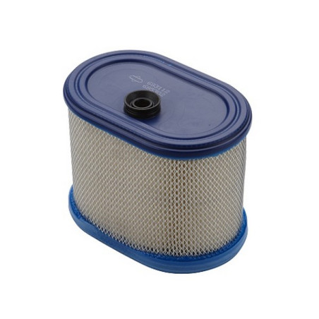 Filtre à air moteur Briggs Stratton