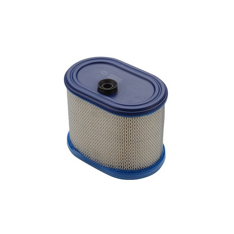 Filtre à air moteur Briggs Stratton