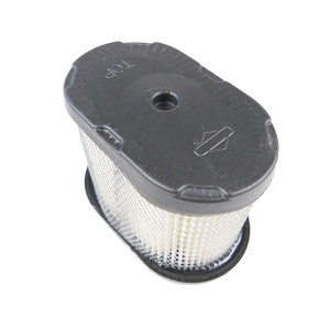 Filtre à air moteur Briggs Stratton Intek