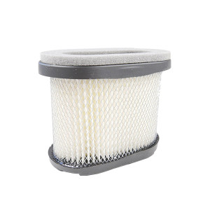 Filtre à air moteur Briggs Stratton Intek