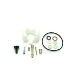 Kit réparation carburateur tondeuse moteur MTD