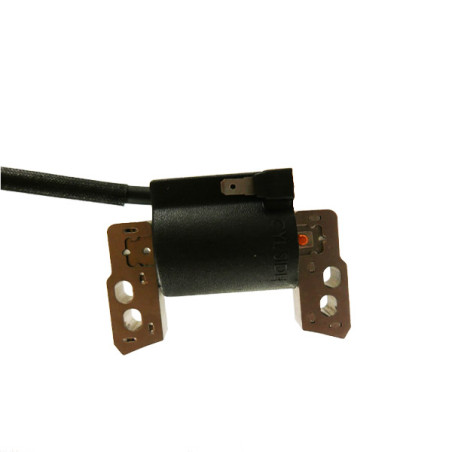Bobine d'allumage moteur Briggs et Stratton 796964 origine