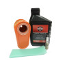 Pack révision moteur Briggs Stratton 800, 850, 875 Series modal atc