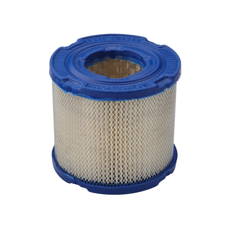Filtre à air moteur Briggs Stratton