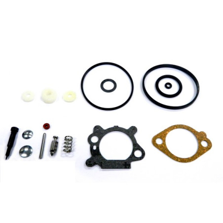 Kit joints carburateur tondeuse moteur Briggs et Stratton