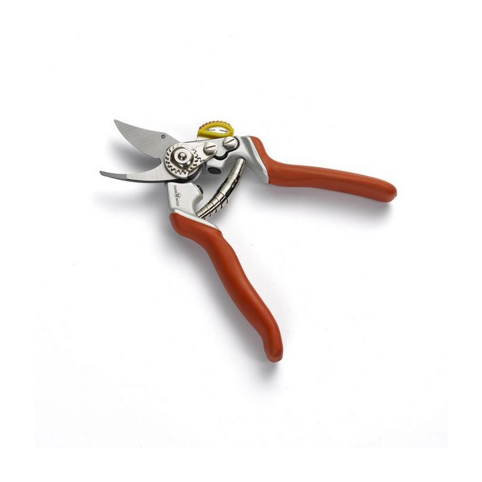 Sécateur de jardin antidérapant avec fonction pliable, poignée orange et certification FSC - Chine Cisailles de jardin antidérapantes et outil d'élagage pliable prix
