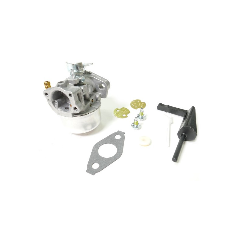 Carburateur moteur Briggs et Stratton 190cc