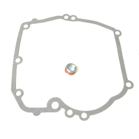 Carter inférieur moteur tondeuse Briggs et Stratton