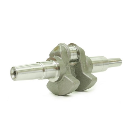 Vilebrequin moteur autoportée Briggs et Stratton