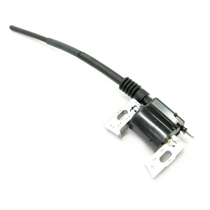 Allumage autoportée moteur Honda