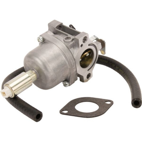 Carburateur autoportée moteur Briggs et Stratton - 593433
