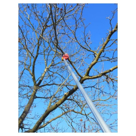 Perche élagueuse télescopique à main Wolf OS4000