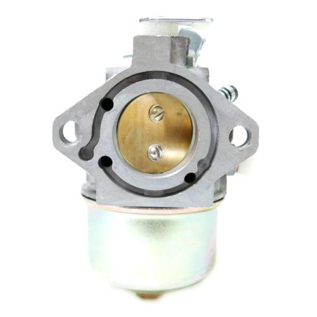 Carburateur autoportée Briggs et Stratton