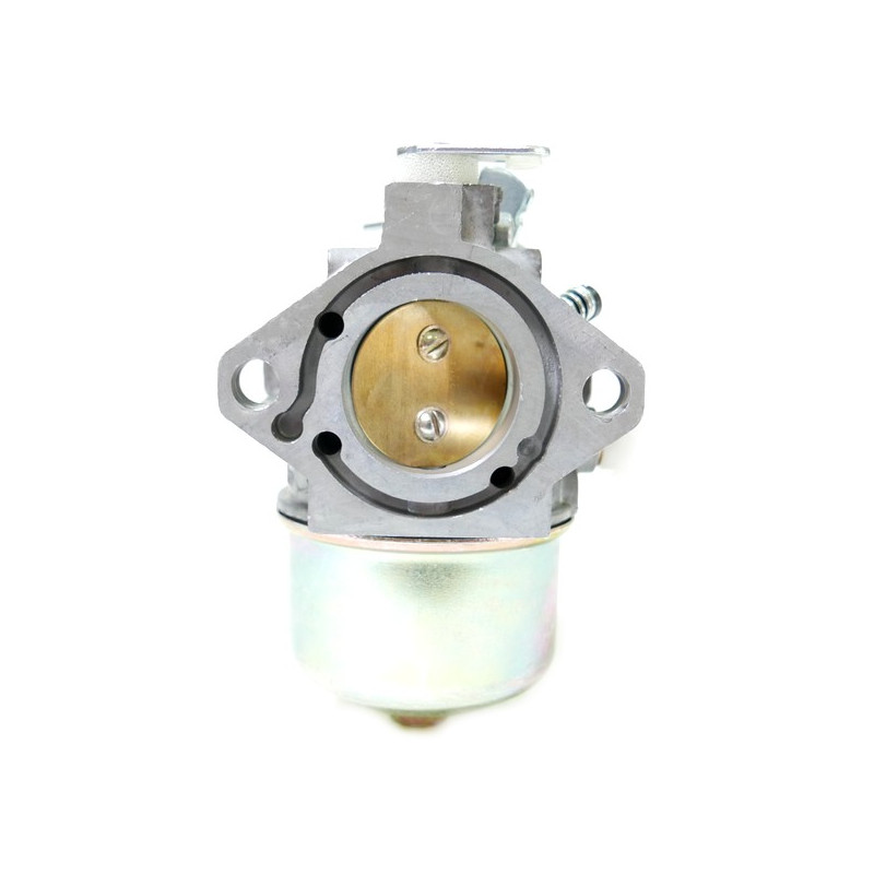 Carburateur autoportée Briggs et Stratton