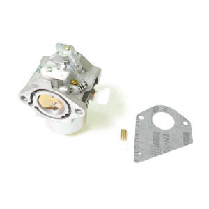 Carburateur autoportée Briggs et Stratton