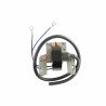 Bobine allumage moteur Briggs et Stratton - 395488 modal atc