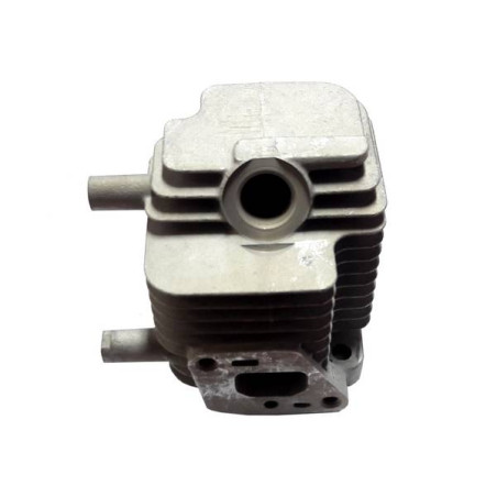 Cylindre taille-haies / débroussailleuse Echo