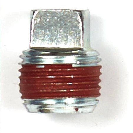 Bouchon vidange moteur Briggs and Stratton